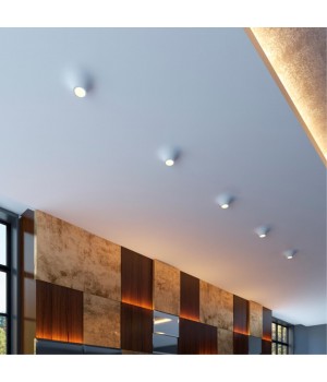 370495 SPOT NT19 153 белый Встраиваемый под покраску светильник IP20 GU10 50W 220V CAIL-foto3