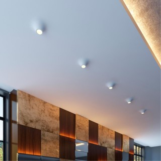 370495 SPOT NT19 153 белый Встраиваемый под покраску светильник IP20 GU10 50W 220V CAIL-foto3