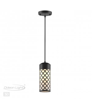 4834/1 NATURE ODL21 575 черный/стекло Ландшафтный светильник-подвес E27 1*60W IP44 DUNES-foto5