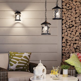 4963/1W NATURE ODL22 567 черный/стекло Ландшафтный настен.светильник E27 1*60W IP44 CUITA-foto3