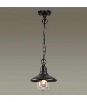 4965/1 NATURE ODL22 567 черный/стекло Ландшафтный подвес E27 1*60W IP44 CAMPA-foto3