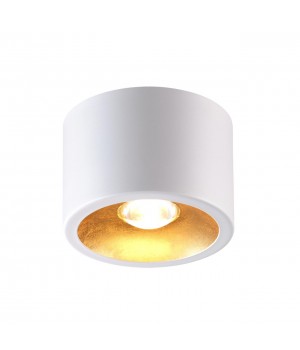 3877/1CL HIGHTECH ODL19 255 белый с золотом Потолочной накладной светильник GU10 1*50W 220V GLASGOW-foto3