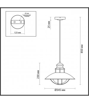 4164/1 NATURE ODL19 579 коричневый/прозрачный Подвес IP23 E27 1*60W DANTE-foto2