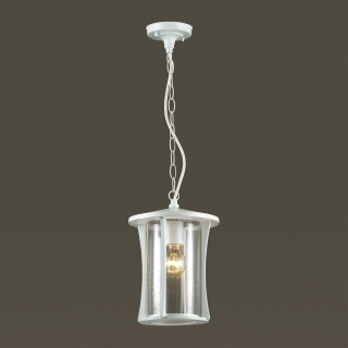 4173/1 NATURE ODL19 576 белый/прозрачный Уличный светильник-подвес IP44 E27 1*40W GALEN-foto3