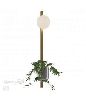 4682/1WB WALLI ODL20 529 золото/белый Настенный светильник E14 1*40W 220V FLOWER-foto5