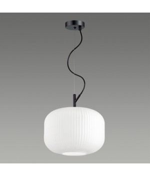 4754/1 PENDANT ODL21 347 белый/черный Подвес E27 60W ROOFI-foto4