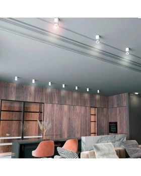 370730 OVER NT21 219 белый Светильник накладной IP20 GU10 9W 235V ELINA-foto3