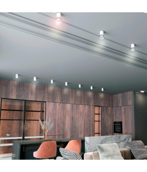 370730 OVER NT21 219 белый Светильник накладной IP20 GU10 9W 235V ELINA-foto3