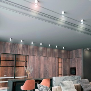 370730 OVER NT21 219 белый Светильник накладной IP20 GU10 9W 235V ELINA-foto3