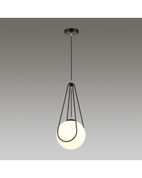 4268/1 MODERN ODL21 339 черн с зол/бел. мат. акрил Подвесной светильник Е14 1*40W CAROL-foto3