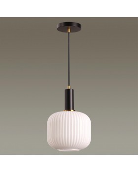 4452/1 SUSPENTIONI LN20 144 черный, белый, стекло Подвес E27 1*60W 220V MERLIN-foto4
