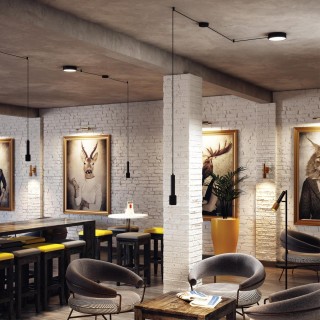 4253/23CL HIGHTECH ODL21 227 черн/металл Сис-ма потолочн (провод 2/4м 10 крепл.) LED 23W 1840Лм 3000K+LED GU10 10W FORTU-foto3