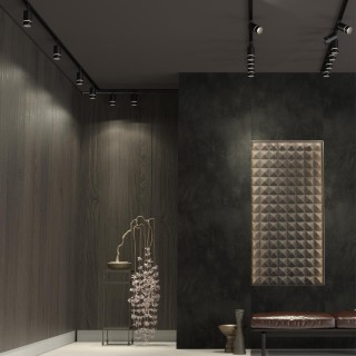 370777 PORT NT21 086 черный Светильник трековый однофазный трехжильный IP20 GU10 9W 235V ELINA-foto3