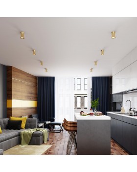 4226/1C HIGHTECH ODL21 247 золотист/металл Потолочный светильник IP44 GU10 50W ZETTA-foto3