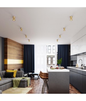 4226/1C HIGHTECH ODL21 247 золотист/металл Потолочный светильник IP44 GU10 50W ZETTA-foto3