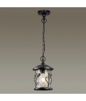4963/1 NATURE ODL22 567 черный/стекло Ландшафтный подвес E27 1*60W IP44 CUITA-foto4