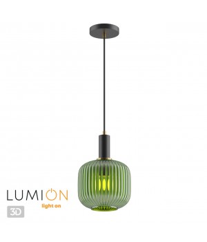 4462/1 SUSPENTIONI LN20 144 черный, зеленый Подвес E27 1*60W 220V MERLIN-foto5