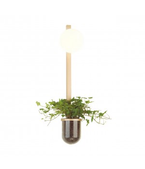 4682/1WB WALLI ODL20 529 золото/белый Настенный светильник E14 1*40W 220V FLOWER-foto6