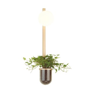 4682/1WB WALLI ODL20 529 золото/белый Настенный светильник E14 1*40W 220V FLOWER-foto6