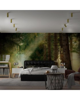 370753 OVER NT21 213 золото Светильник накладной IP20 GU10 50W 220V MAIS-foto3