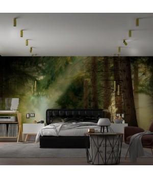 370753 OVER NT21 213 золото Светильник накладной IP20 GU10 50W 220V MAIS-foto3