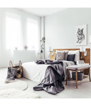 3745/1A MODERNI LN19 114 никель Бра E14, LED 43W 220V NIKKI-foto5