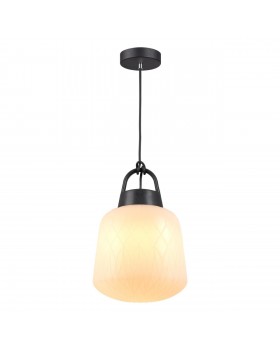 370601 STREET NT19 333 белый абажур/черная арматура Ландшафтный подвес IP44 E27 60W 100-240V CONTE-foto4