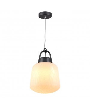 370601 STREET NT19 333 белый абажур/черная арматура Ландшафтный подвес IP44 E27 60W 100-240V CONTE-foto4