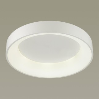 4062/50CL L-VISION ODL19 407 белый/серый Люстра потолочная с ДУ LED 50W 220V SOLE-foto3