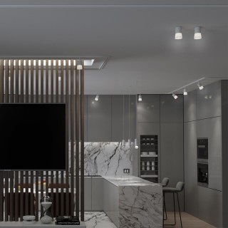 370901 OVER NT22 171 белый Светильник накладной IP20 GU10 9W 220V ELINA-foto3