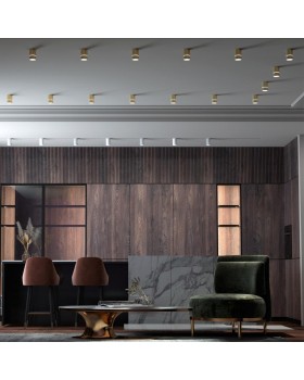 370734 OVER NT21 216 золото Светильник накладной IP20 GU10 9W 235V ELINA-foto3