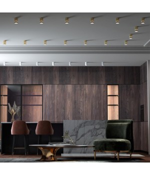 370734 OVER NT21 216 золото Светильник накладной IP20 GU10 9W 235V ELINA-foto3