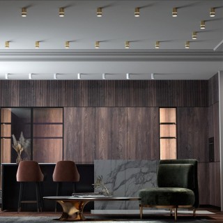 370734 OVER NT21 216 золото Светильник накладной IP20 GU10 9W 235V ELINA-foto3