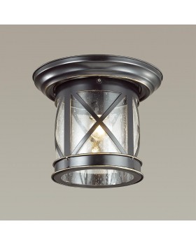 4045/1C NATURE ODL18 587 черный/зол.патина Уличный потолочный светильник IP44 E27 60W 220V SATION-foto3