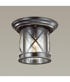 4045/1C NATURE ODL18 587 черный/зол.патина Уличный потолочный светильник IP44 E27 60W 220V SATION-foto3