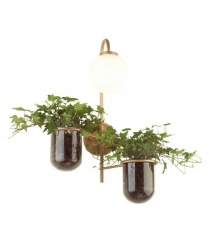 4682/1W WALLI ODL20 535 золото/белый Настенный светильник E14 1*40W 220V FLOWER-foto5