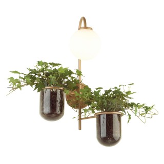 4682/1W WALLI ODL20 535 золото/белый Настенный светильник E14 1*40W 220V FLOWER-foto5