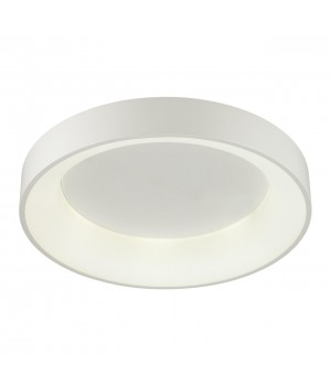 4062/50CL L-VISION ODL19 407 белый/серый Люстра потолочная с ДУ LED 50W 220V SOLE-foto4