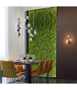 4818/6 MODERN ODL21 395 черный/прозрачный Подвес G9 6*40W TOVI-foto3