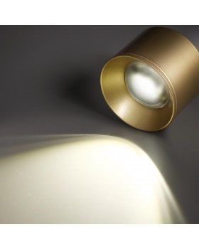 358669 OVER NT21 188 золото Светильник накладной светодиодный IP20 LED 4000К 12W 220V PATERA-foto5