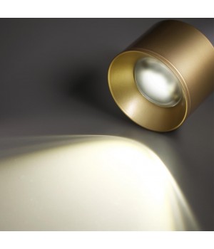 358669 OVER NT21 188 золото Светильник накладной светодиодный IP20 LED 4000К 12W 220V PATERA-foto5