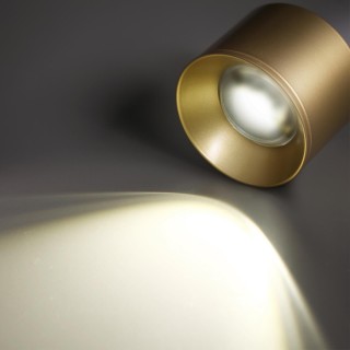 358669 OVER NT21 188 золото Светильник накладной светодиодный IP20 LED 4000К 12W 220V PATERA-foto5