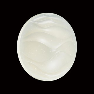 2090/DL PALE SN 067 Светильник пластик/белый LED 48Вт 3000-6000K D440 IP43 пульт ДУ ERICA-foto5