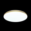 3043/DL TAN SN 025 Светильник пластик/белый/золотистый LED 48Вт 3000-6500К D385 IP43 пульт ДУ/ LampSmart LASSA