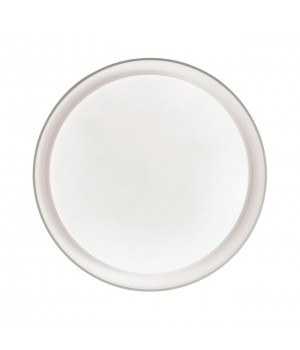 3030/EL TAN SN 056 Светильник пластик/белый LED 72Вт 3000-6500K D510 IP43 пульт ДУ/ LampSmart BIONIC-foto5