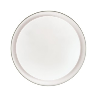 3030/EL TAN SN 056 Светильник пластик/белый LED 72Вт 3000-6500K D510 IP43 пульт ДУ/ LampSmart BIONIC-foto5