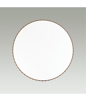 2078/DL PALE SN 073 Светильник пластик/белый/янтарный LED 48Вт 3000-6000K D390 IP43 пульт ДУ DINA AMBER-foto5