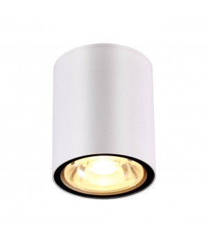358012 STREET NT19 335 белый Ландшафтный светильник IP65 LED 3000К 6W 220V TUMBLER-foto4
