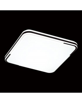 3059/DL PALE SN 013 Светильник пластик/белый/черный LED 48Вт 3000-6000К 430х430 IP43 пульт ДУ ORSO-foto3