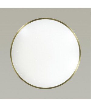 2089/EL PALE SN 079 Светильник пластик/белый/бронза LED 72Вт 3000-6000K D540 IP43 пульт ДУ LOTA BRONZE-foto5